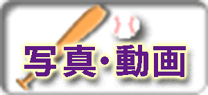 �����c�A�g���Y�@�ʐ^�E����